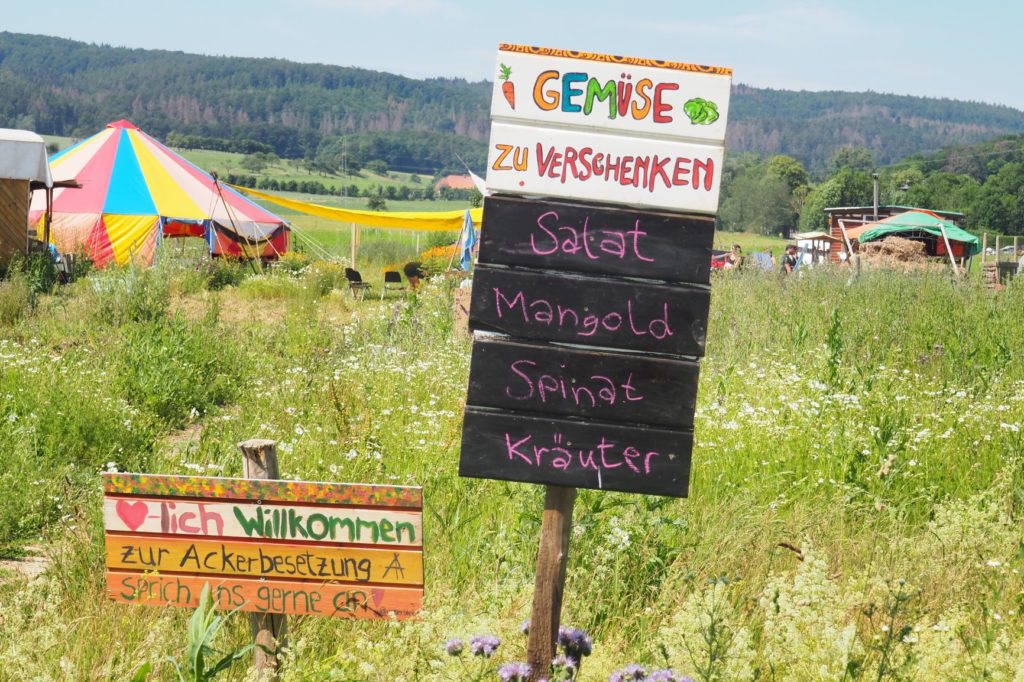 Schilder in Neu-Eichenberg zur Ackerbesetzung: "Gemüse zu verschenken"