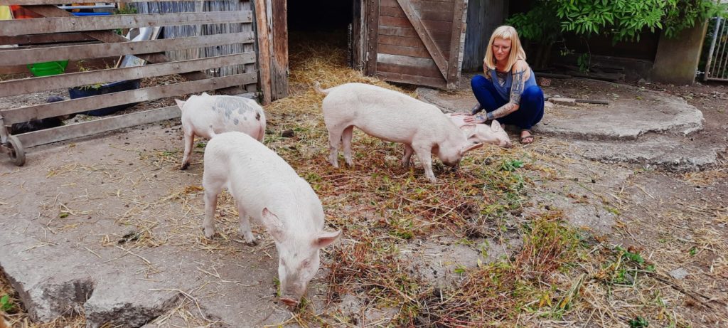 nachhaltige Schweinemast auf der Krachmachermühle