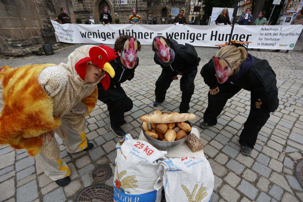 Protestaktion vor großem Banner "Weniger Hühner = Weniger Hunger". Einige Menschen verkleidet als Hühner mit Getreideprodukten.
